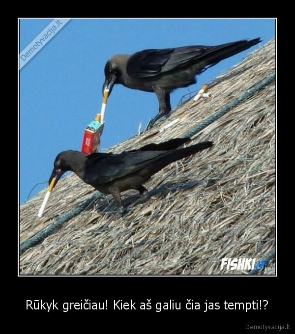 Rūkyk greičiau! Kiek aš galiu čia jas tempti!?