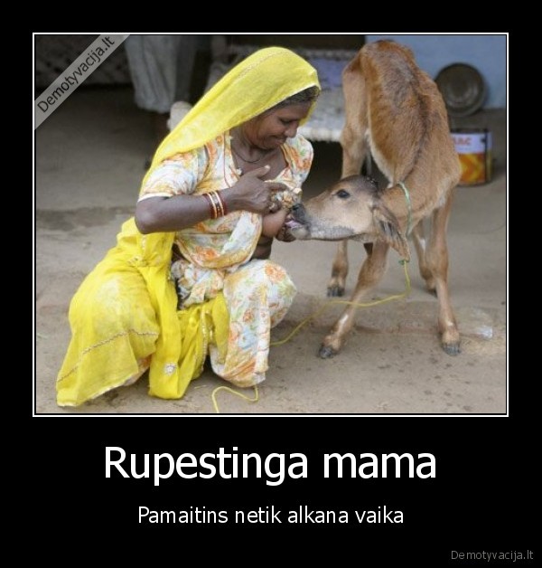 Rupestinga mama
