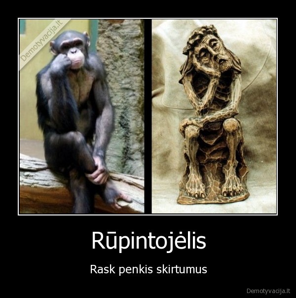 religija,zoologijos, sodas,dundukai
