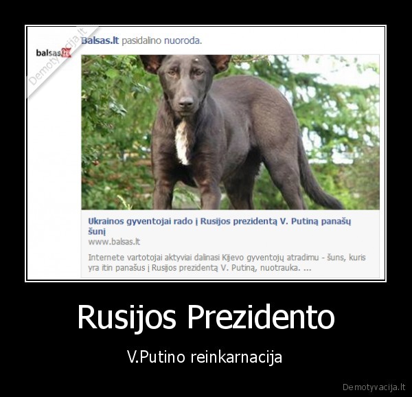 vladimiras, putinas,prezidento, reinkanacija