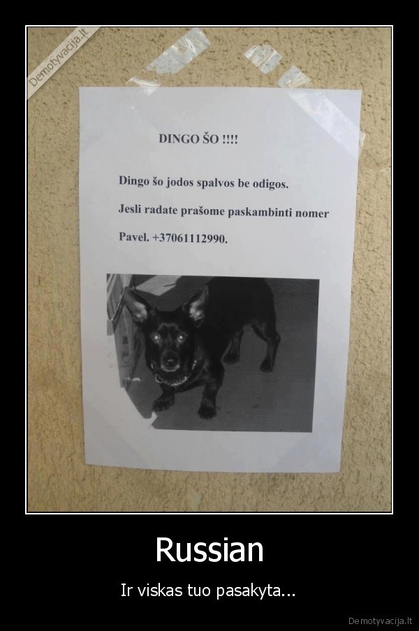 nelaime, rusas, rusai, so, suo, dingo