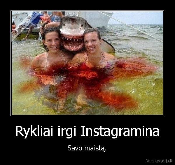 maistas,rykliai