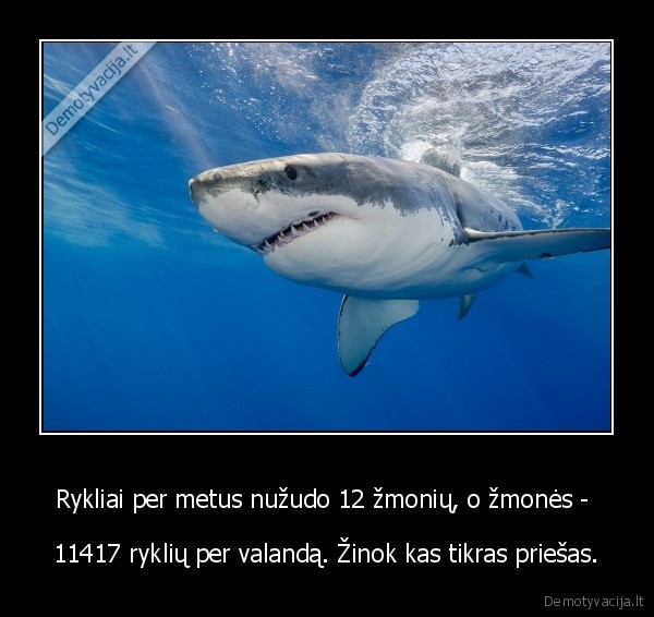 ryklys,zudymas,zmones,rykliai