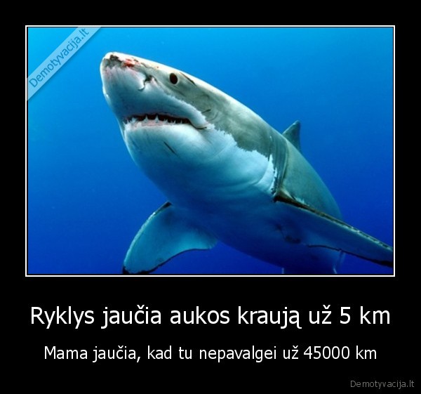 rykliai,maistas,alkanas, vaikas