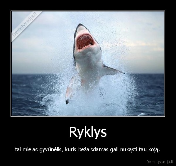 Ryklys