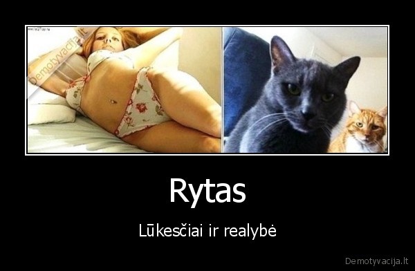Rytas