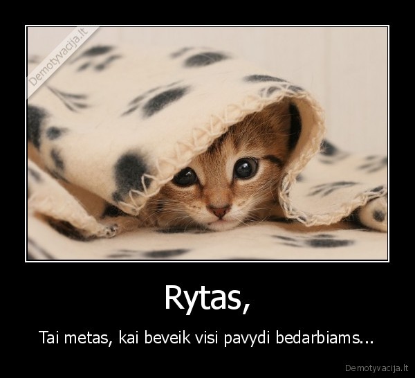 rytas,darbas,tingeti