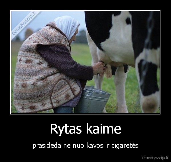 karve,melzti