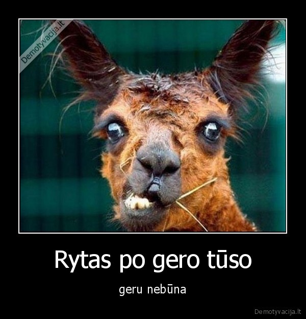 rytas,tusas,geras