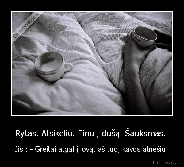 kava,rytas,sauksmas