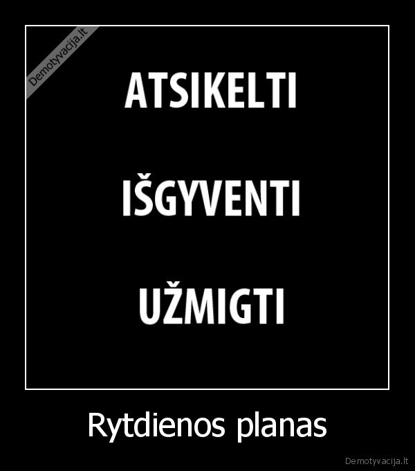 Rytdienos planas