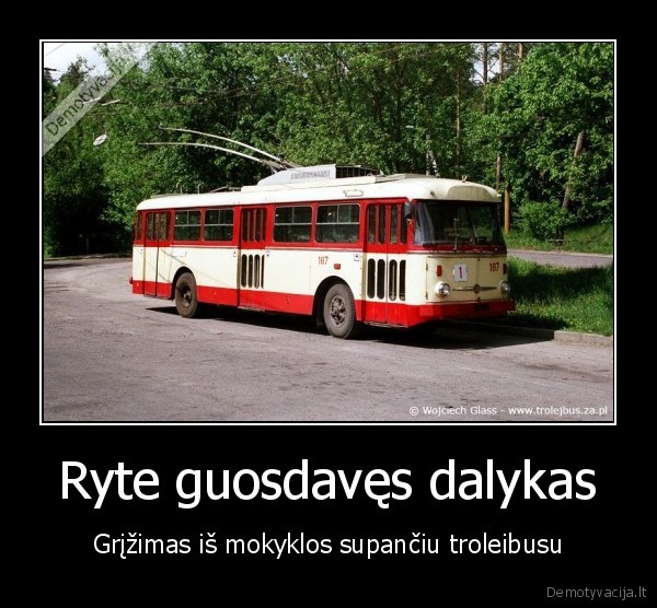 trolikas,supynes,skoda,9tr