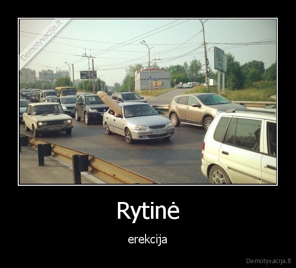 rytas,stovi