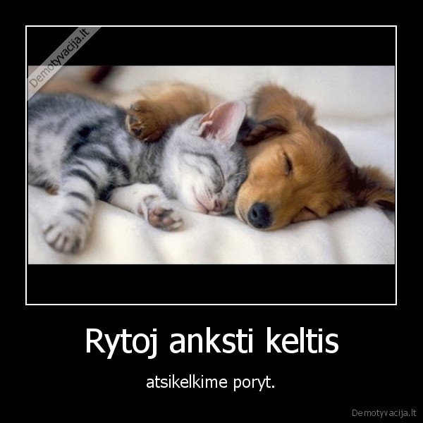 keltis,miegas,anksti