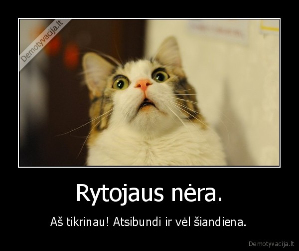 Rytojaus nėra.