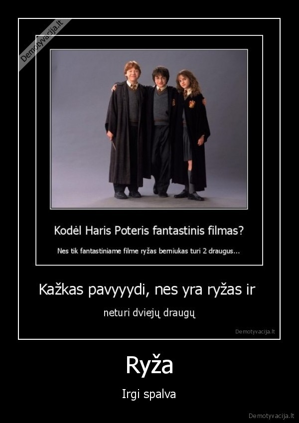 ryzas