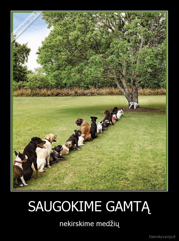 SAUGOKIME GAMTĄ