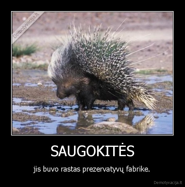 SAUGOKITĖS