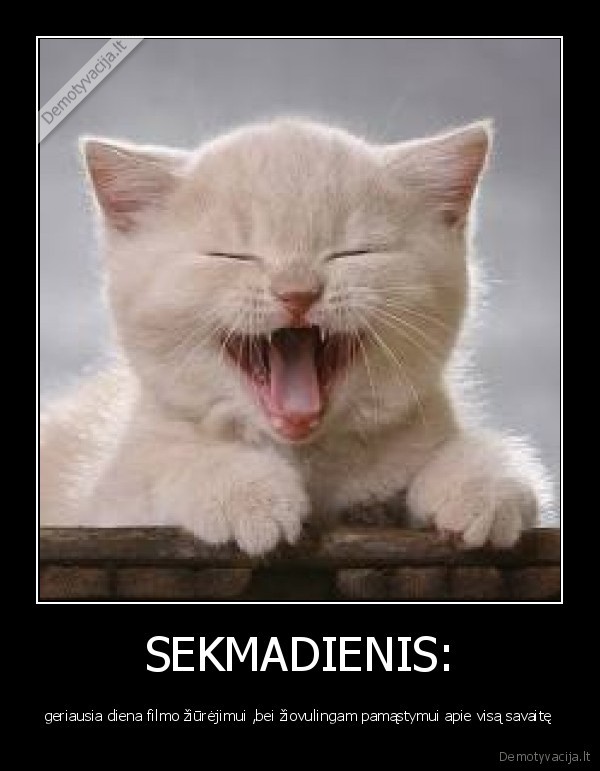 SEKMADIENIS:
