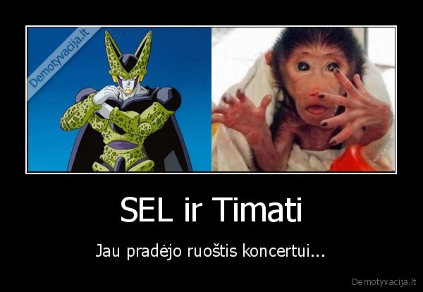 SEL ir Timati