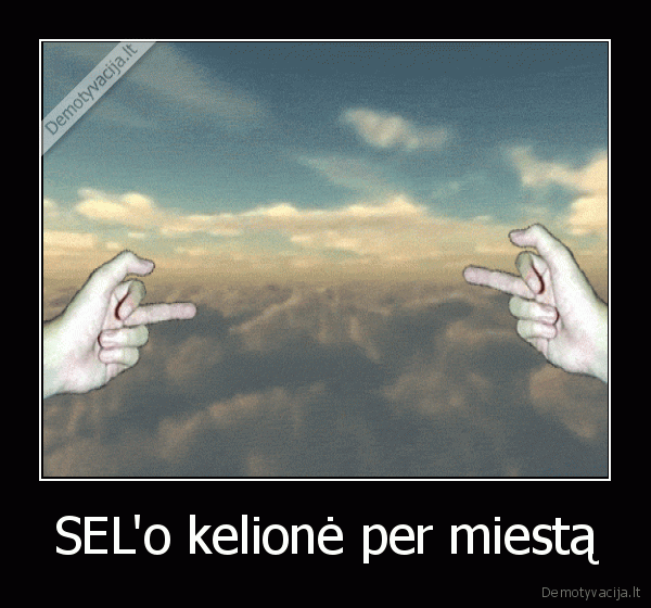 sel,selas,egidijus, dragunas,nepadorus, zenklai,necenzuriniai, gestai