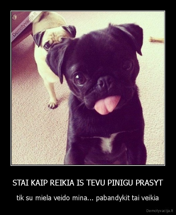 sunys