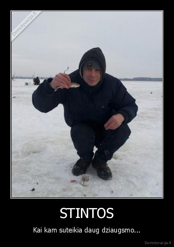 STINTOS