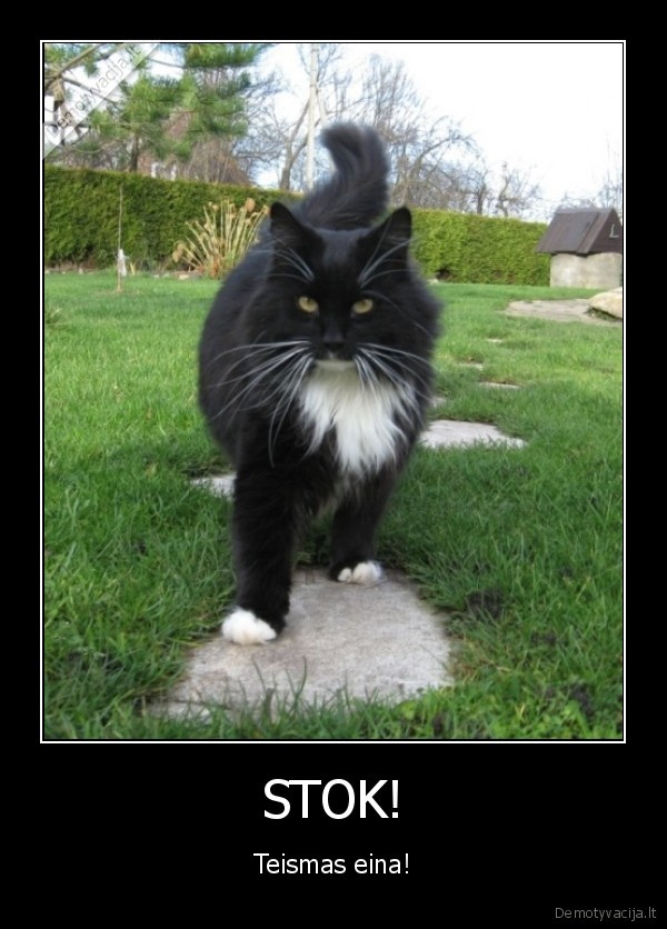 STOK!