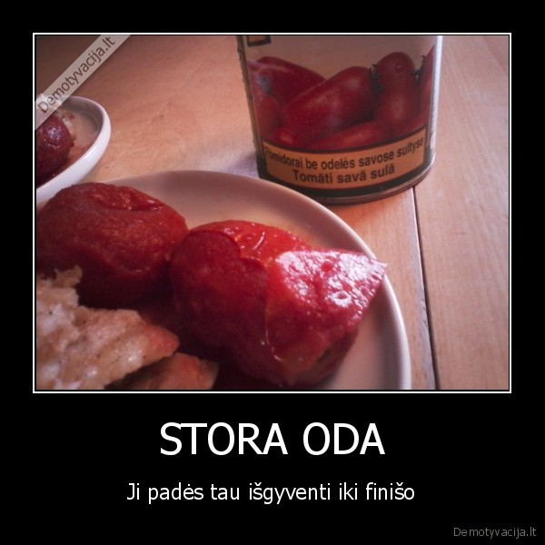 STORA ODA
