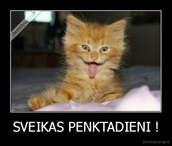 SVEIKAS PENKTADIENI !