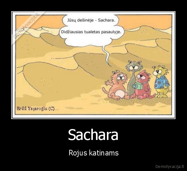 Sachara
