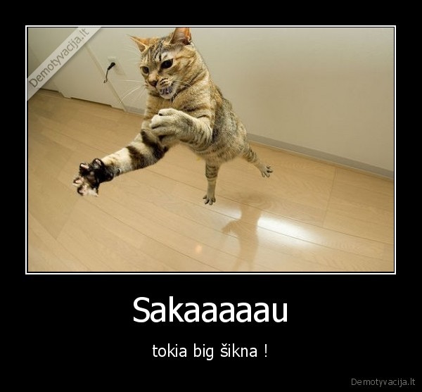 Sakaaaaau