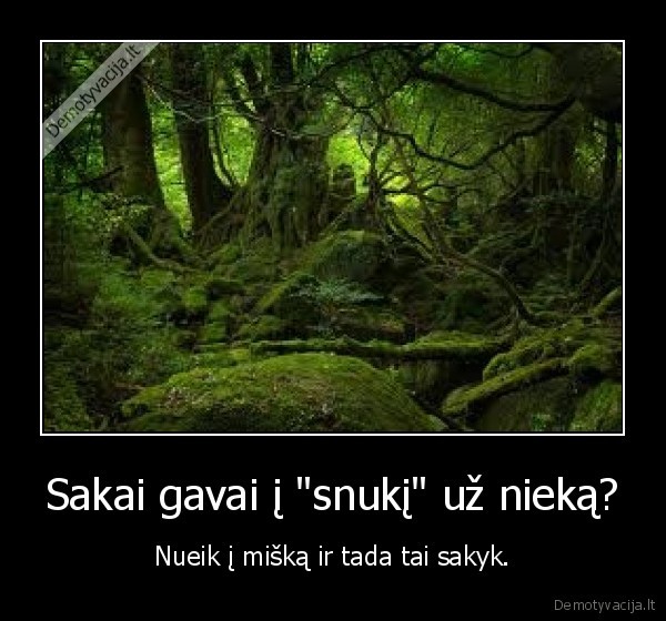 miske, sakos, duoda, i, snuki, uz, nieka