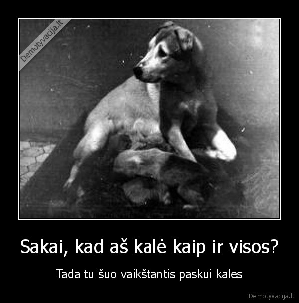 Sakai, kad aš kalė kaip ir visos?