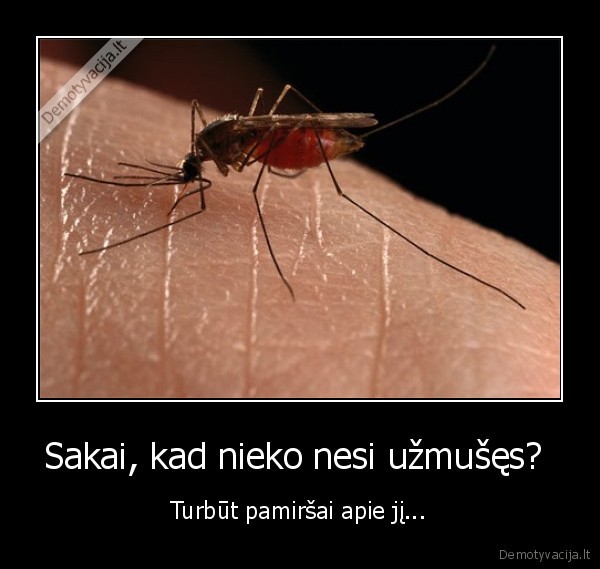 uodas,puodas