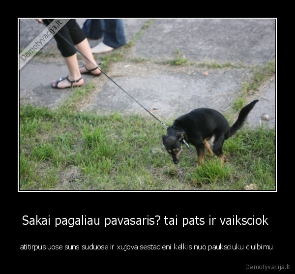 Sakai pagaliau pavasaris? tai pats ir vaiksciok 