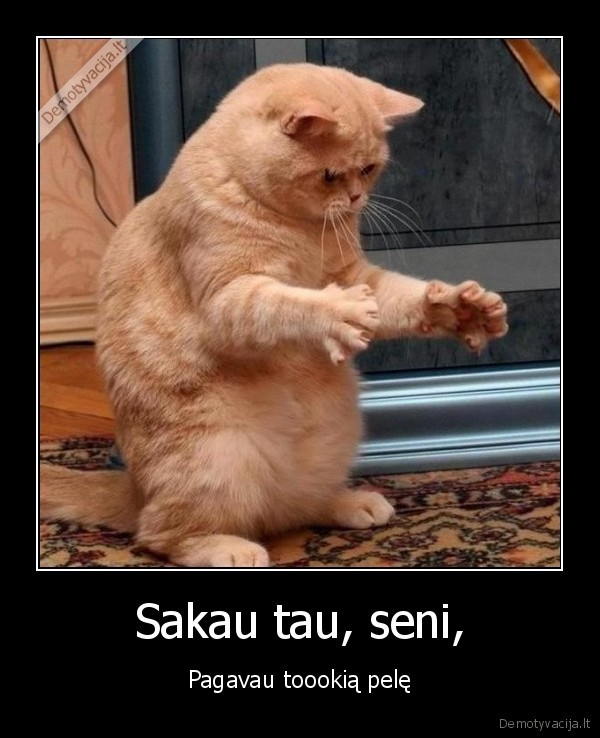 Sakau tau, seni,