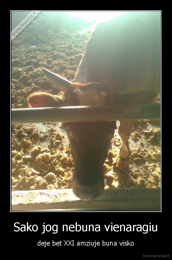 vienaragis, monavienaragis, karve