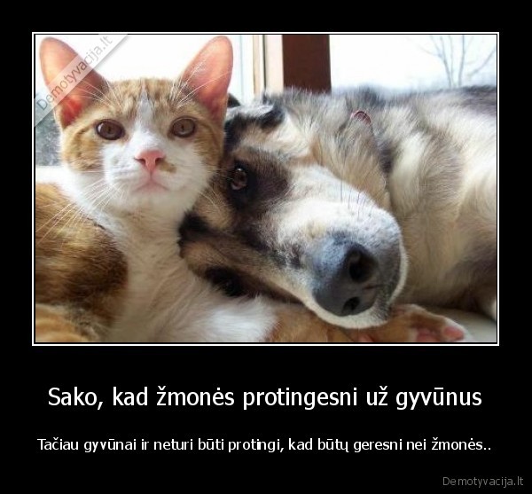 Sako, kad žmonės protingesni už gyvūnus