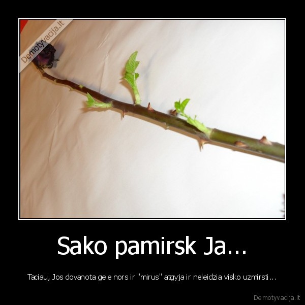 Sako pamirsk Ja...