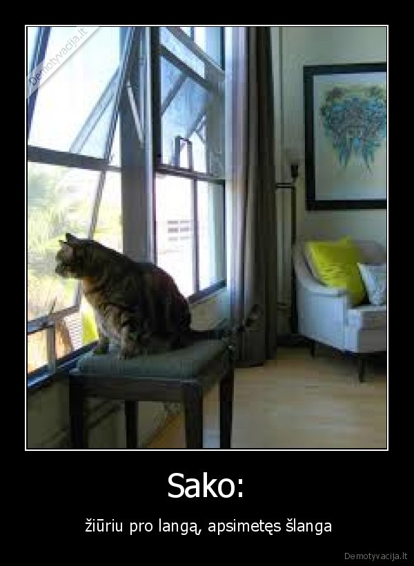 Sako: