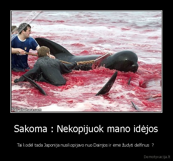 Sakoma : Nekopijuok mano idėjos