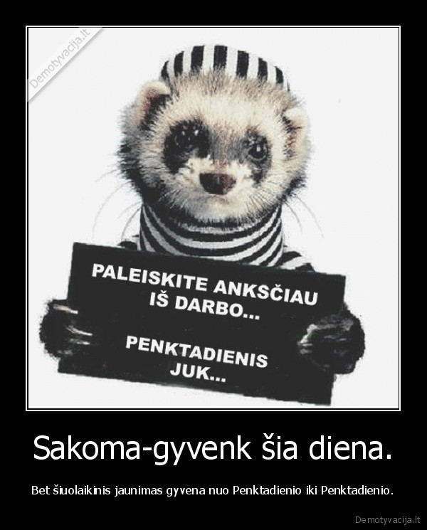 Sakoma-gyvenk šia diena.