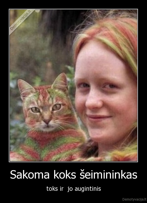 kaciukas