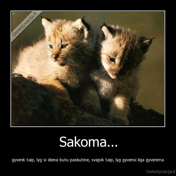 life, gyvenimas