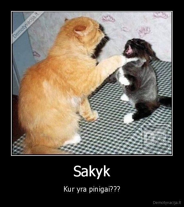 Sakyk