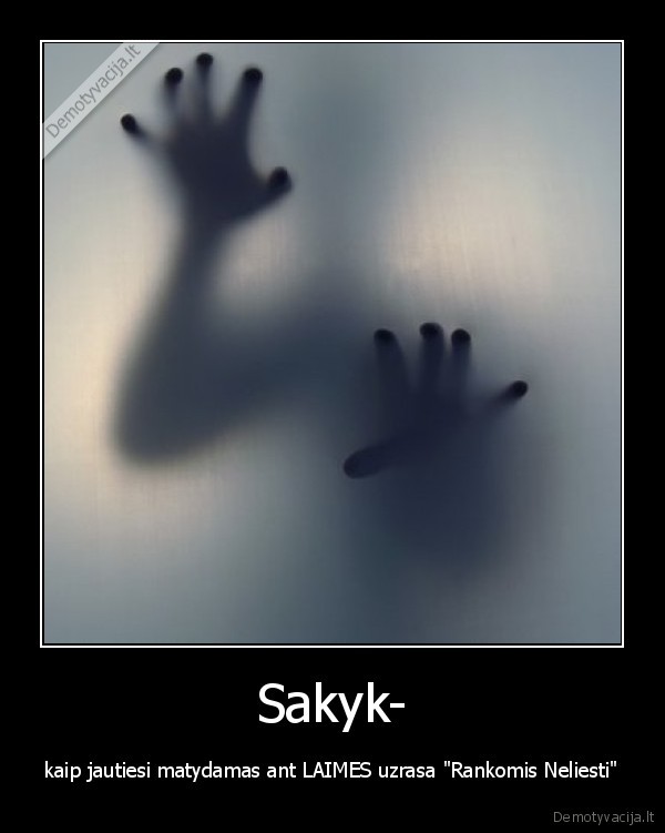Sakyk-