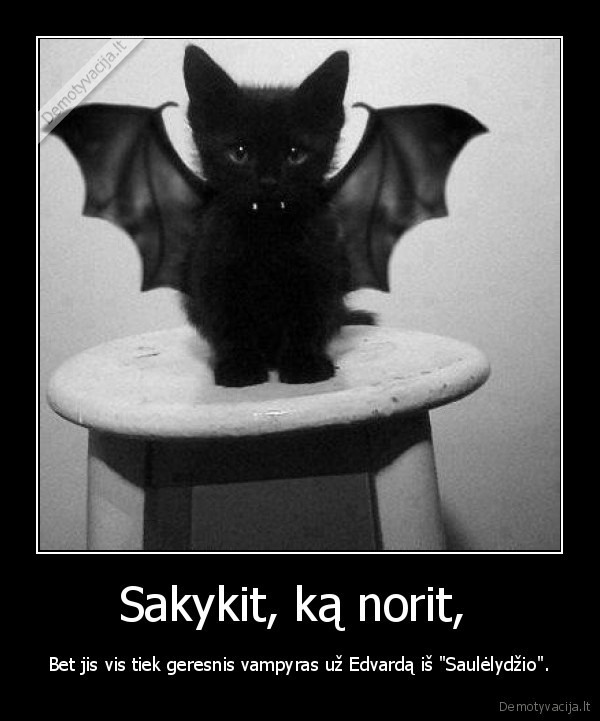 Sakykit, ką norit, 