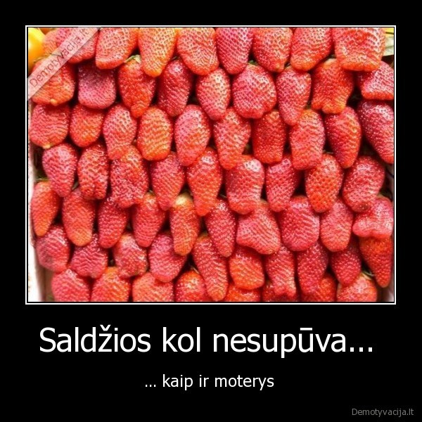 Saldžios kol nesupūva... 
