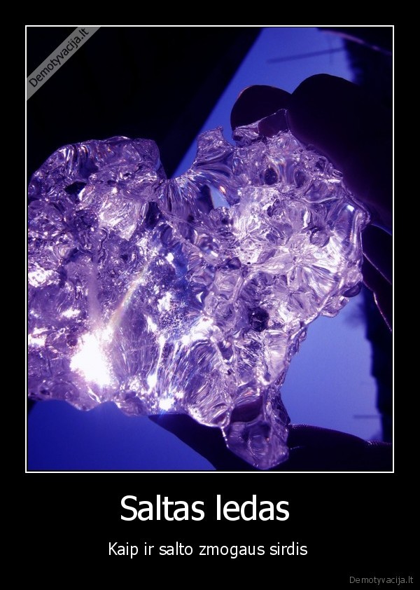Saltas ledas 